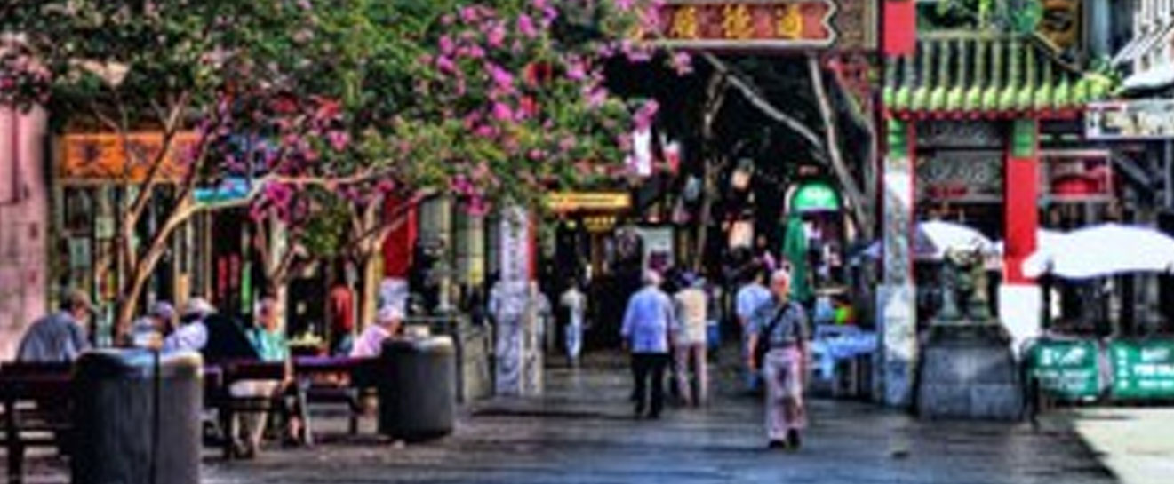 CHINATOWN CULTURAL WALKING TOURS 2016